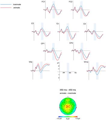 Wolf-hound vs. sled-dog: neurolinguistic evidence for semantic decomposition in the recognition of German noun-noun compounds